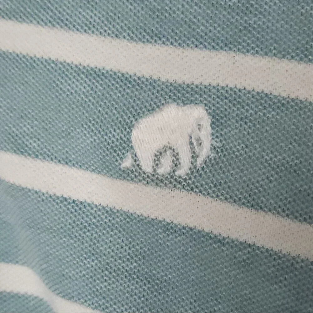 Banana Republic Mens Mint Green White Stripe Polo Small